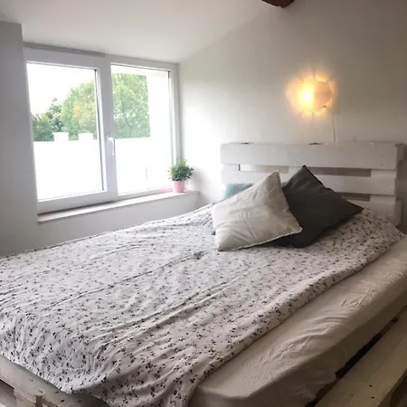 Apartment Cozy And Luxurious In Top Center Of *